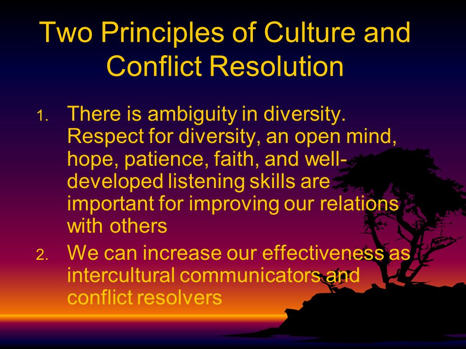 Conflict Resolution Studies